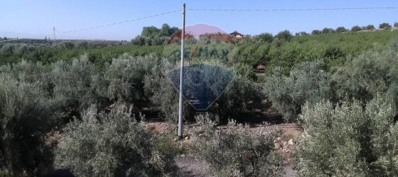 19000m² Land in Paternò, Italy No. 145418 11