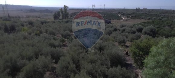 19000m² Land in Paternò, Italy No. 145418 46