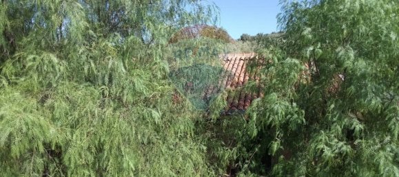 19000m² Land in Paternò, Italy No. 145418 7