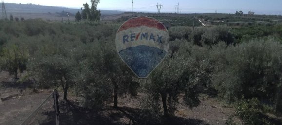 19000m² Land in Paternò, Italy No. 145418 5