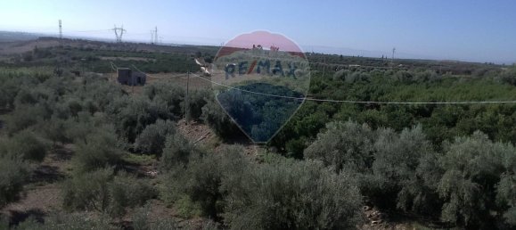 19000m² Land in Paternò, Italy No. 145418 16