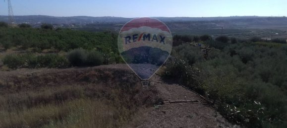 19000m² Land in Paternò, Italy No. 145418 41