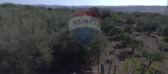 19000m² Land in Paternò, Italy No. 145418 24