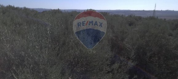 19000m² Land in Paternò, Italy No. 145418 37