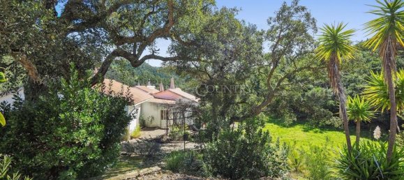 5 bedrooms Villa in Monchique, Portugal No. 315984 36