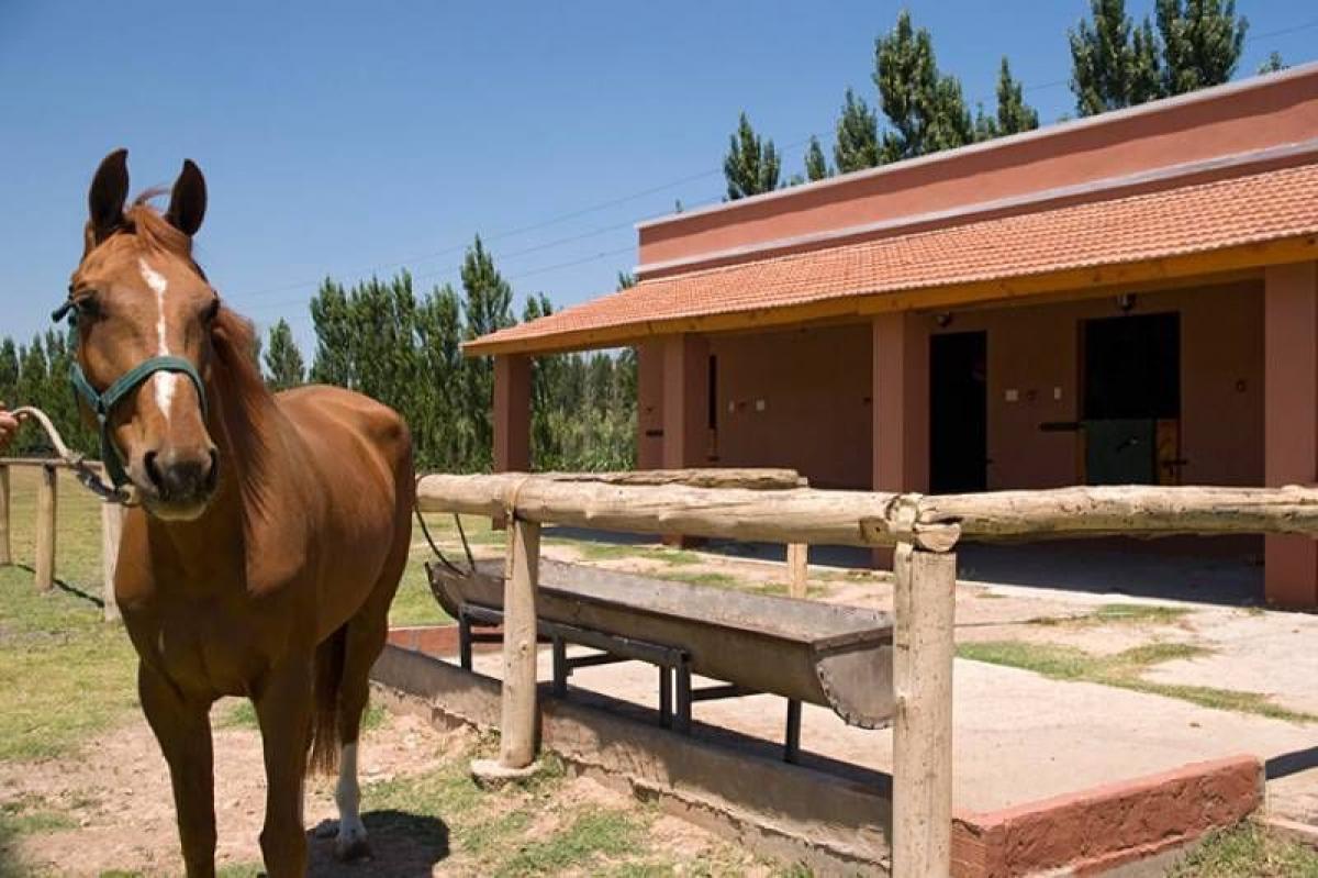 Grundstück in Pilar, Argentina, Nr. 113161