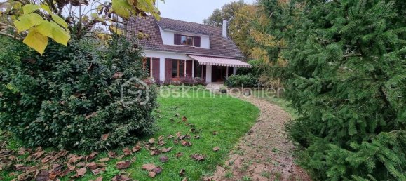 4 bedrooms House in Chailly-en-Gatinais, France No. 238604 2