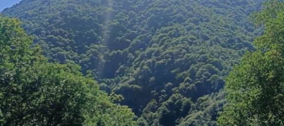 Дом с 6 спальнями в Аурано, Италия № 312142 18