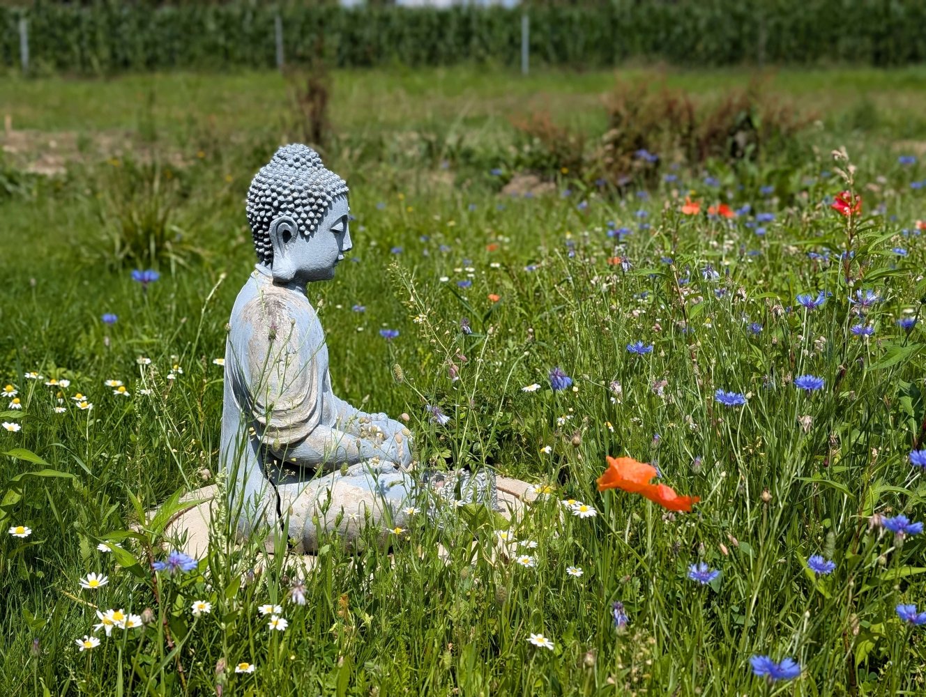 Terreno en Furstenfeldbruck, Germany No. 143971