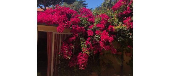 5 bedrooms Villa in Cascais, Portugal No. 113547 24