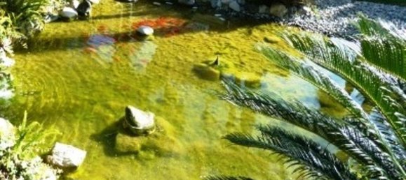 7 غرف نوم فيلا في Alhaurin de la Torre, Spain رقم 149152 31