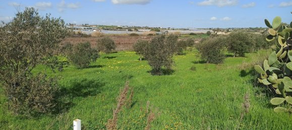 6-salle Villa à Pachino, Italy No. 60691 4