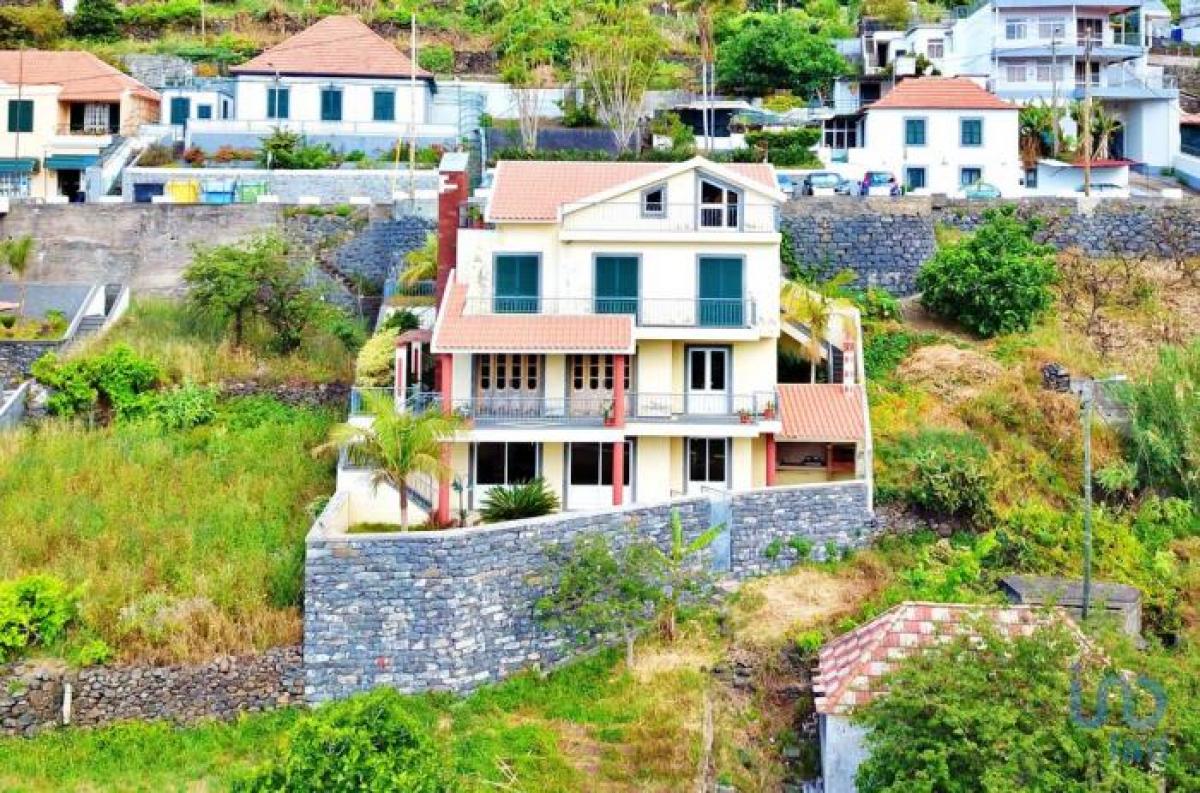 3 bedrooms House in Ribeira Brava, Portugal No. 353