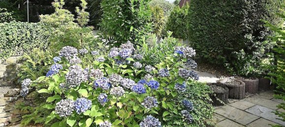 Таунхаус с 2 спальнями в Бохум, Германия № 359172 17