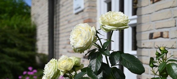 Таунхаус с 2 спальнями в Бохум, Германия № 359172 6