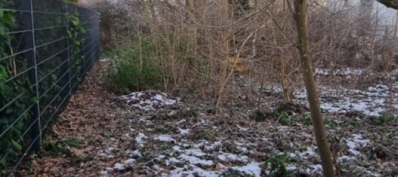  قطعة أرض في Korschenbroich, Germany رقم 113980 5