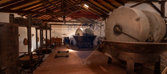 9 Schlafzimmer Haus in Guia, Portugal, Nr. 54326 16