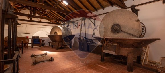 9 Schlafzimmer Haus in Guia, Portugal, Nr. 54326 15