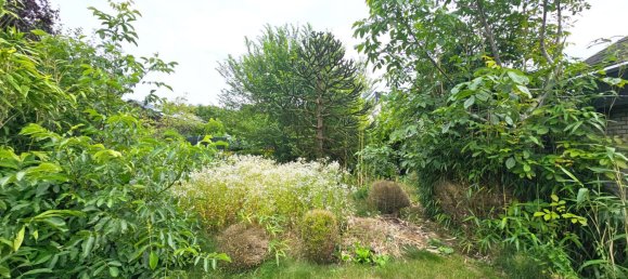 6غرفة منزل في Munster, Germany رقم 228881 9