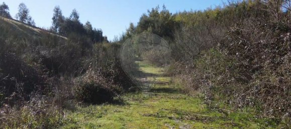 Casa de 9 dormitorios en Soalhaes, Portugal No. 50686 6