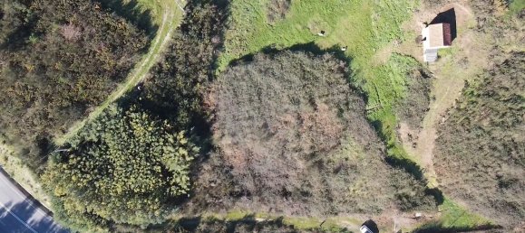 Casa de 9 dormitorios en Soalhaes, Portugal No. 50686 5