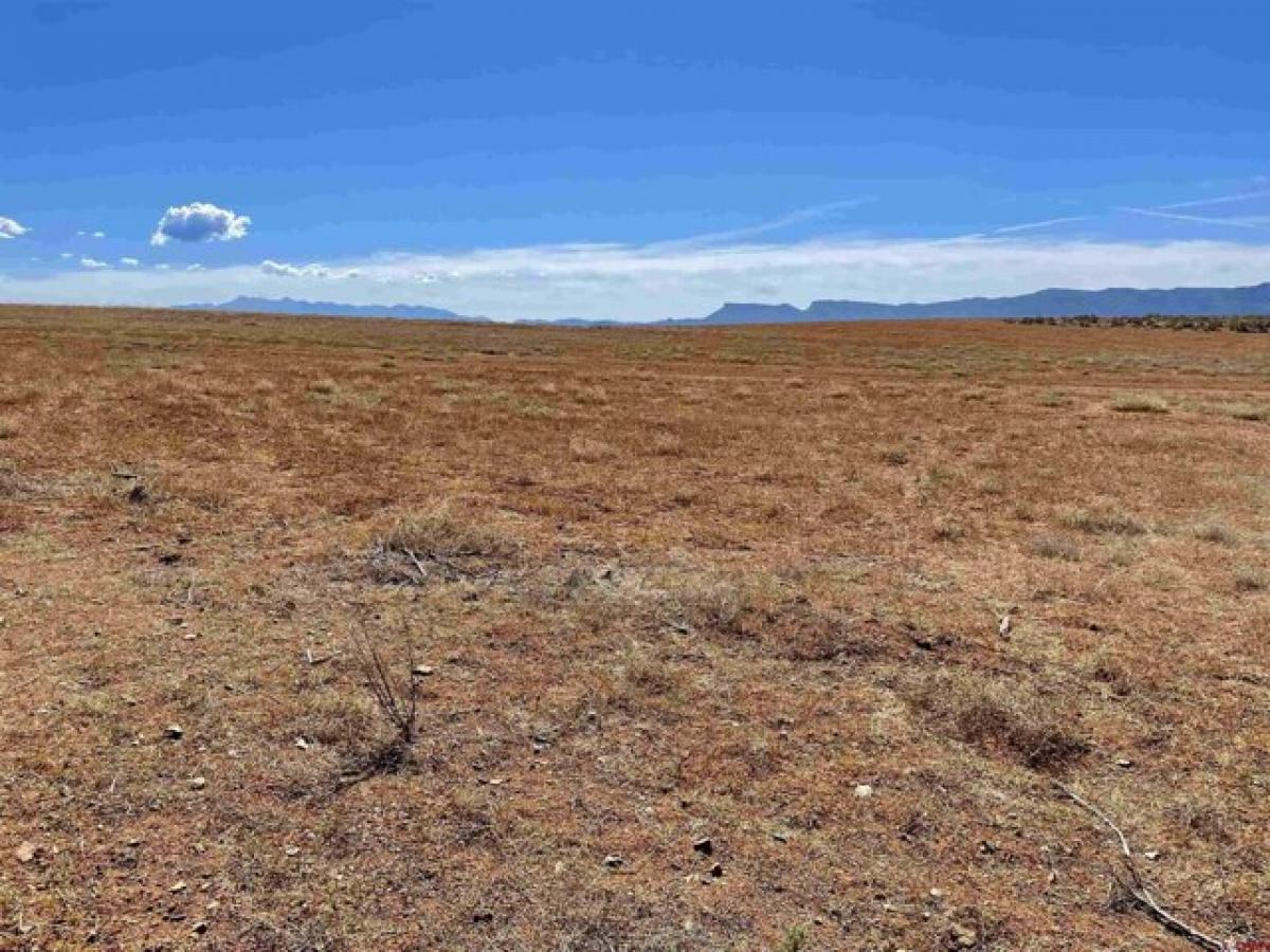 Земельный участок в Кортес, США № 475491