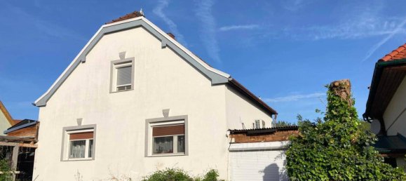 6 rooms House in Traiskirchen, Austria No. 219768 5