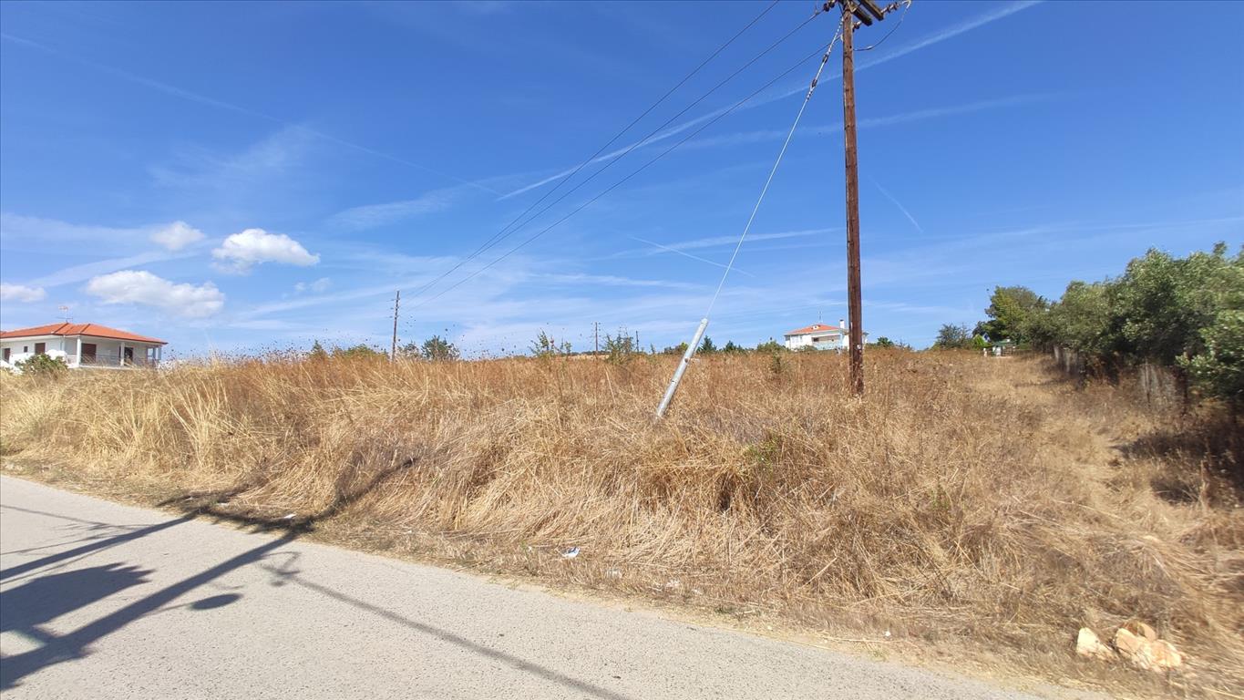 3100m² Hotel in Chalkidiki, Greece No. 4080