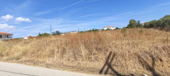 3100m² Hotel in Chalkidiki, Greece No. 4080 3