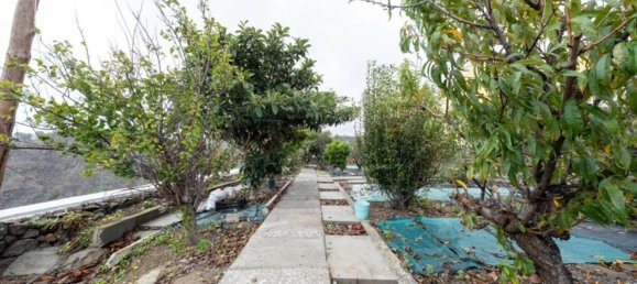 6 chambres Maison à Gran Canaria, Spain No. 159973 18