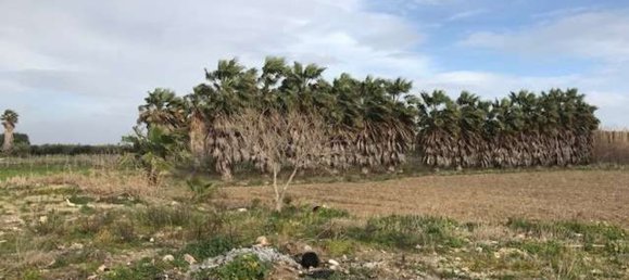  قطعة أرض في Marsala, Italy 6500متر مربع رقم 76390 3