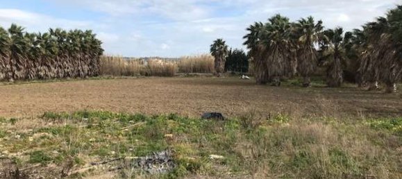  قطعة أرض في Marsala, Italy 6500متر مربع رقم 76390 2