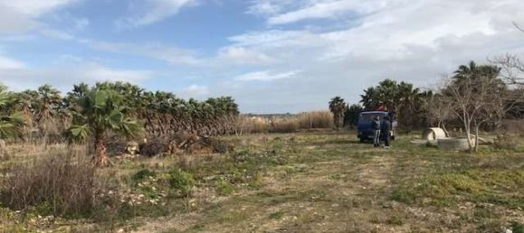  قطعة أرض في Marsala, Italy 6500متر مربع رقم 76390 9