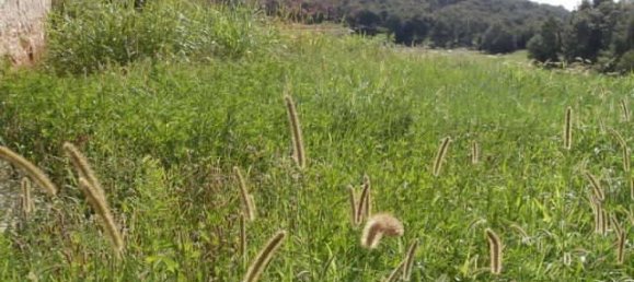 4 rooms House in Paitone, Italy No. 176664 6