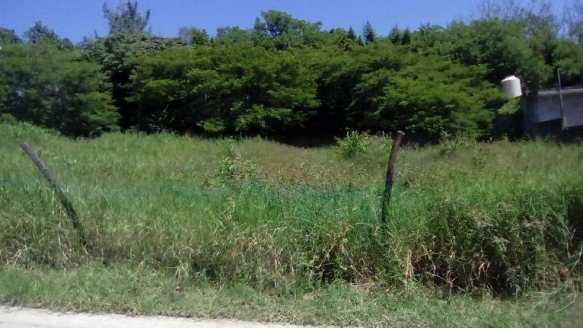  قطعة أرض في Veracruz, Mexico رقم 205021