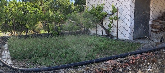 5 bedrooms House in Cedovim, Portugal No. 23897 9