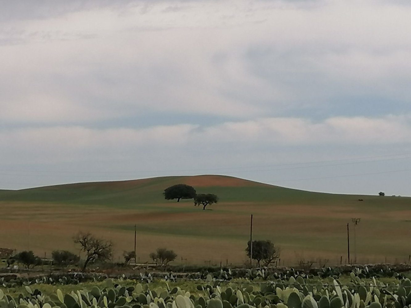  Land in Ourique, Portugal No. 225669