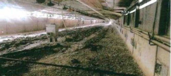 7-Zimmer Wohnung in Dolcè, Italy, Nr. 58823 13