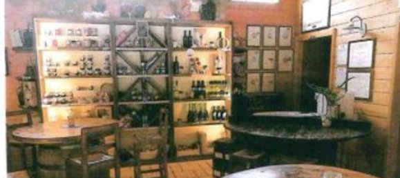 7-Zimmer Wohnung in Dolcè, Italy, Nr. 58823 6