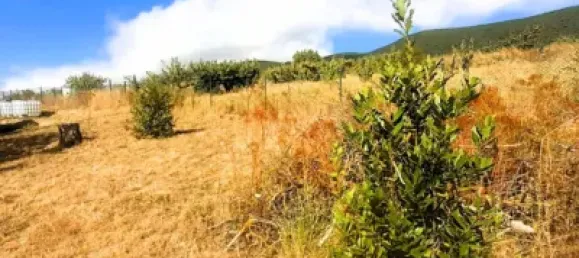 Land in Chartered Community of Navarre, Spain No. 173650 7