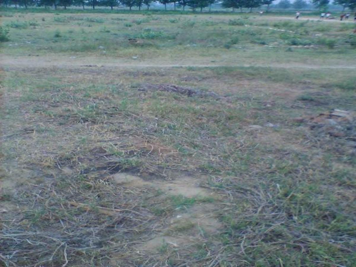 Terreno en Noida, India No. 35018