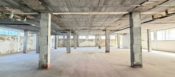 Gewerbliche Immobilien in Torrevieja, Spain 2800m², Nr. 366326 26