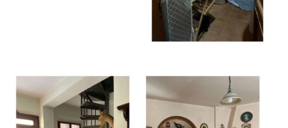 7-Zimmer Wohnung in Chiusi, Italy, Nr. 201051 6