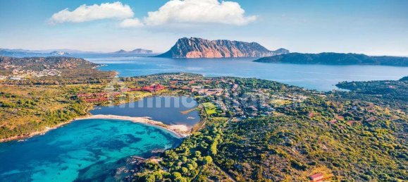 1 Schlafzimmer Villa in San Teodoro, Italy, Nr. 292469 4