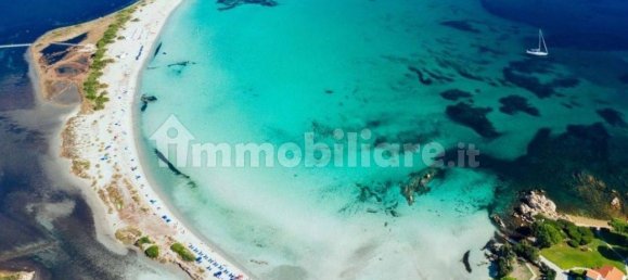 1 Schlafzimmer Villa in San Teodoro, Italy, Nr. 292469 3