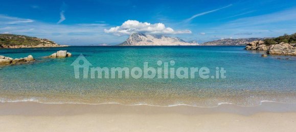 1 Schlafzimmer Villa in San Teodoro, Italy, Nr. 292469 27