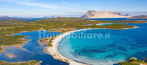 1 Schlafzimmer Villa in San Teodoro, Italy, Nr. 292469 28