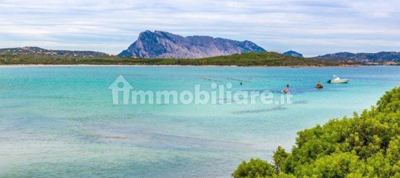 1 Schlafzimmer Villa in San Teodoro, Italy, Nr. 292469 2