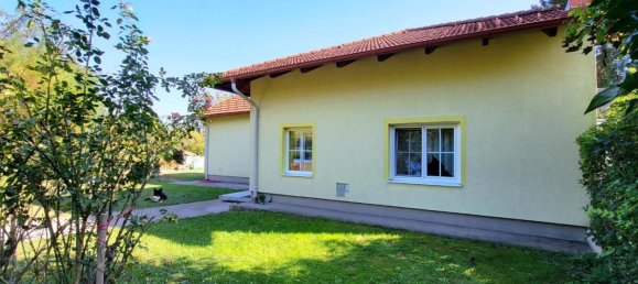 3-Zimmer Gewerbliche Immobilie in St. Egyden am Steinfeld, Austria, Nr. 15178 2