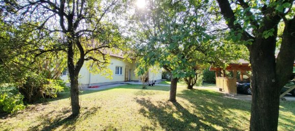 3-Zimmer Gewerbliche Immobilie in St. Egyden am Steinfeld, Austria, Nr. 15178 9